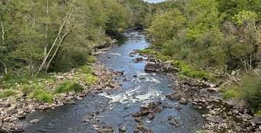 Gartempe River Photo 2.jpg