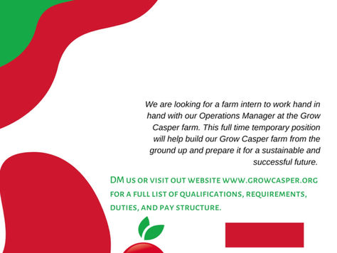 We are Hiring an Intern!