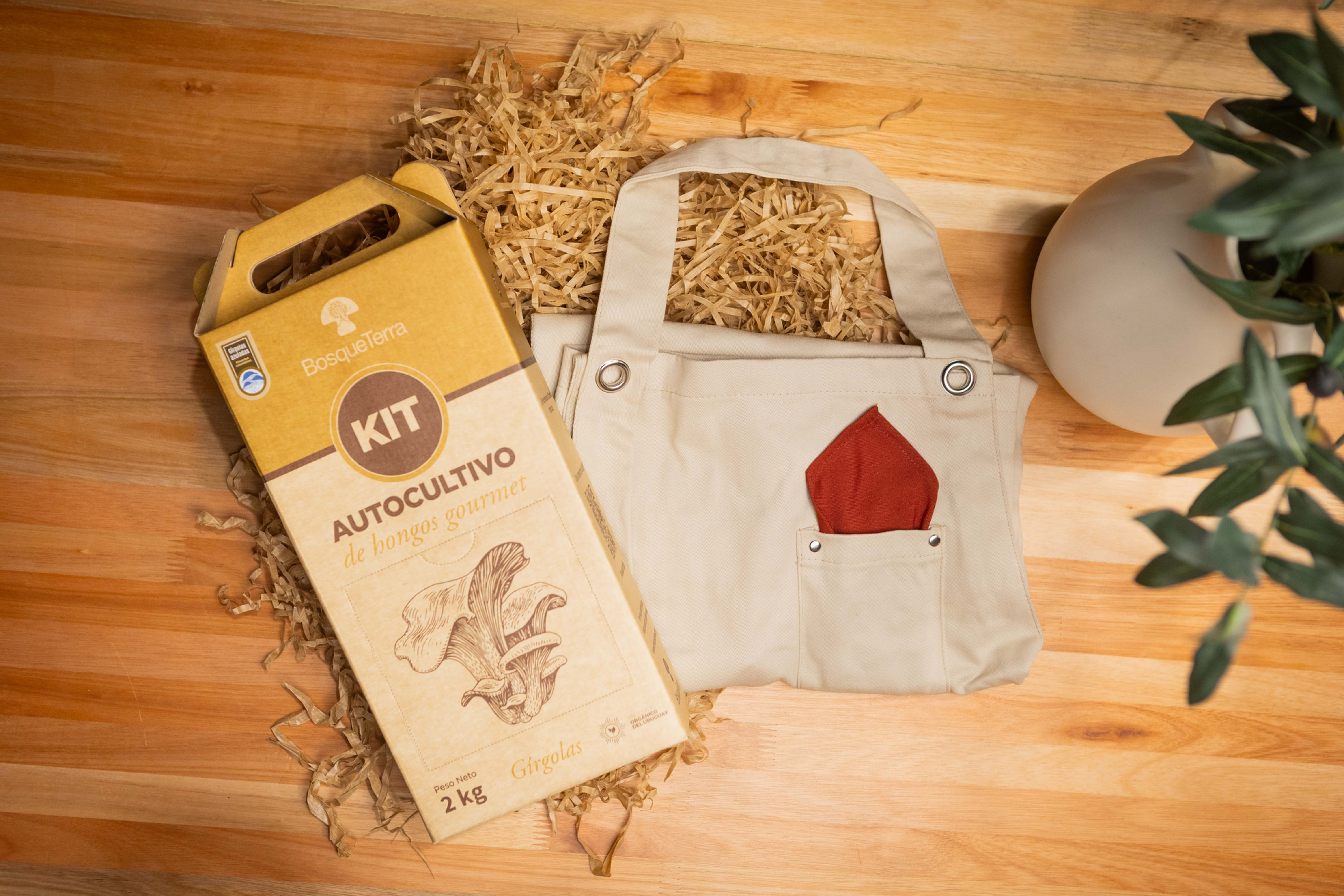 Box MDPAULA + Bosque Terra