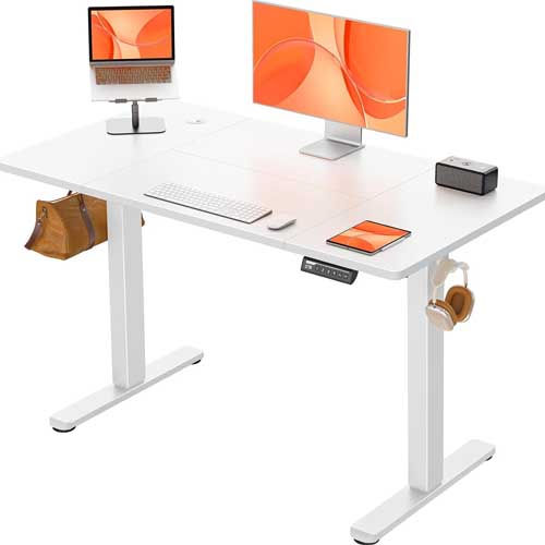 ErGear Electric Standing Desk