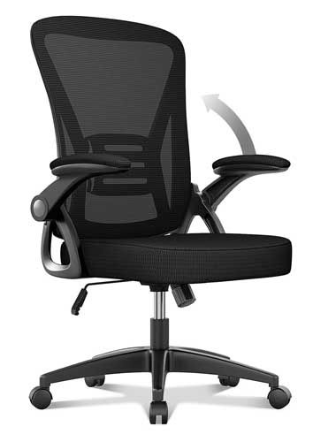 naspaluro Ergonomic Office Chair