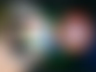 ¿Cómo empezar a trabajar con Google Lens y aparecer en las búsquedas visuales?