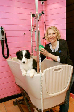 12606840_480724758779178_1943664608_n