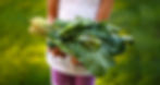 Sustainability-Header.jpg