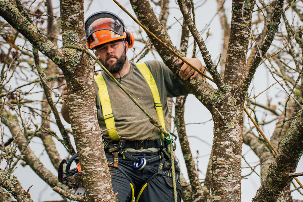 CRANN RÍ Tree Surgeon Brand Photography