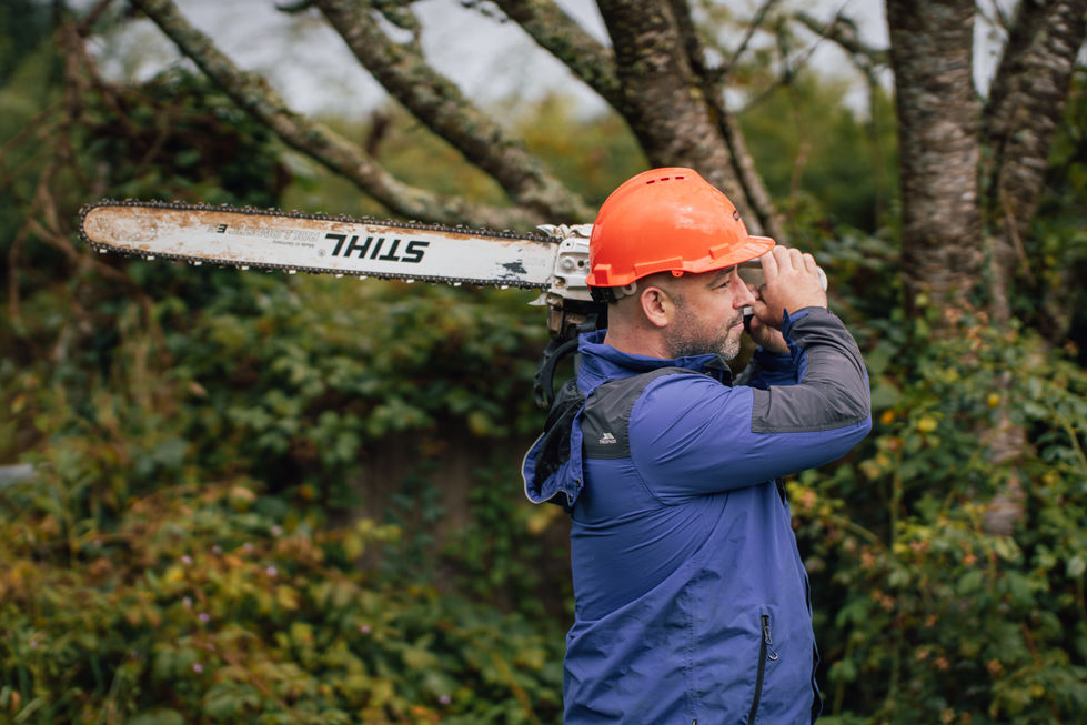 CRANN RÍ Tree Surgeon Brand Photography