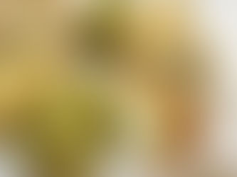 【玄米粉シフォン認定講座】受講生のお声