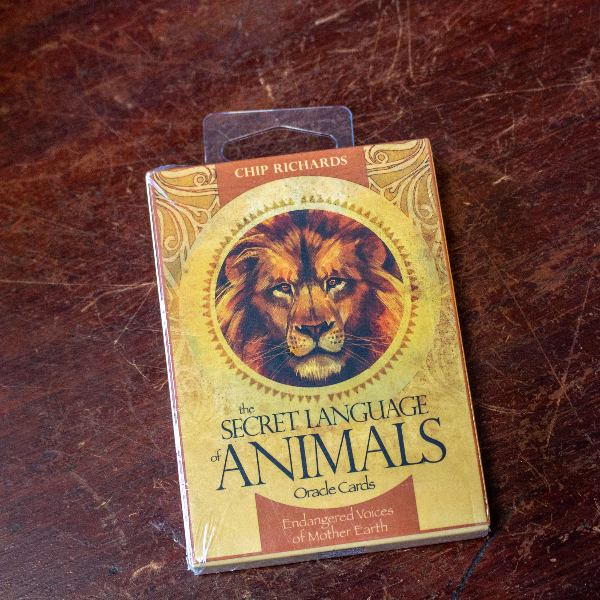 The Secret Language of Animals | Oracle