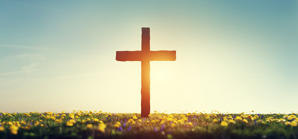 easter strip.jpeg