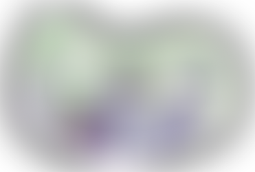 Illustration of a man with a megaphone, a standing woman, and a woman in a wheelchair with a 'We Love NDIS' sign, symbolising making an appeal.