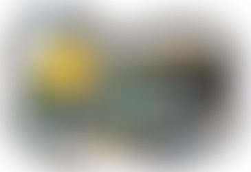 A mother and her son with cerebral palsy heading up a wheelchair-accessible ramp to short-term accommodation