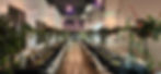 ree