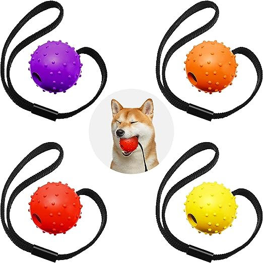 Thumbnail: Dog Ball on a Rope Training Ball
