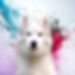 PhotoRoom-20231127_210135.jpg