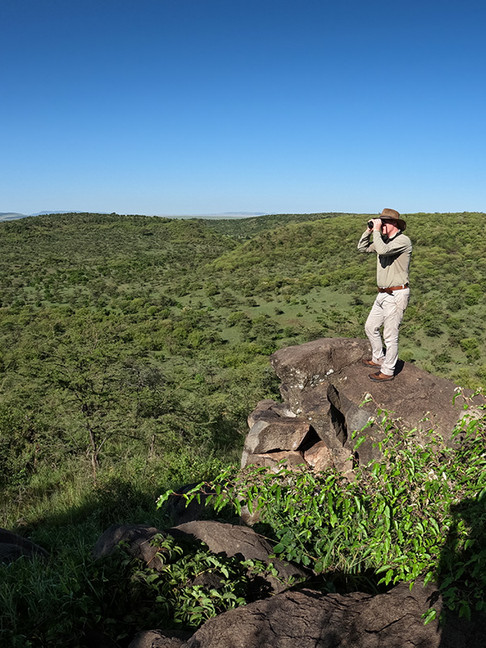 safari guide with binoculars on walking safari standing on boulder, Naboisho walking safari, Asilia , Kenya safari 
