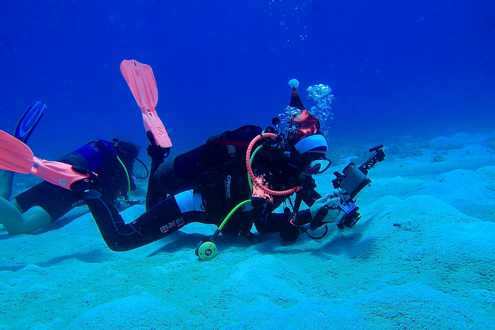 Scuba Diver Dressed As Santa Claus for Christmas wearing a santa hat pink dive fins