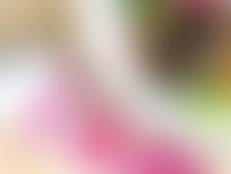 期間限定ドレッシングです!