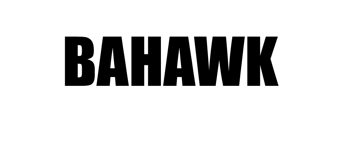 Bahawk Logo Animation