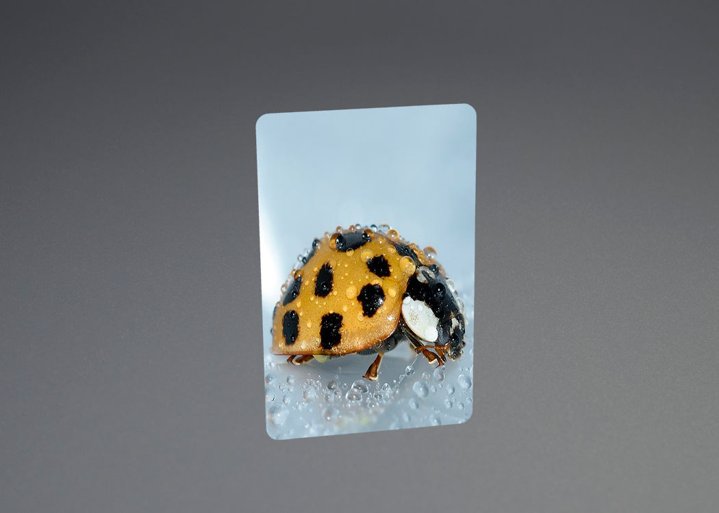 ID Print Card Express MIFARE Ultralight