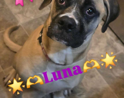 Luna