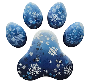 Untitled design (13).png