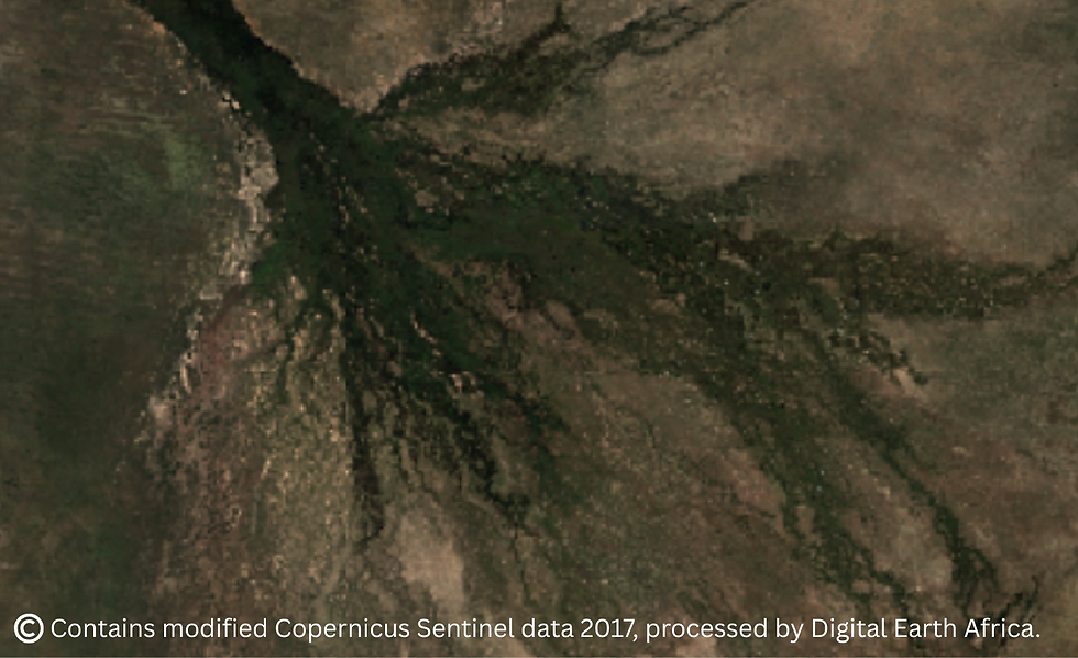 Historical Sentinel-2 imagery from 2017 provides a reference snapshot of the Okavango Delta, one of Africa’s most iconic and ecologically vital wetlands, located in northern Botswana.