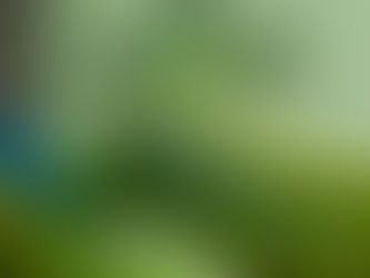 Fertilizantes Organominerais: Uma Abordagem Sustentável para a Agricultura Brasileira