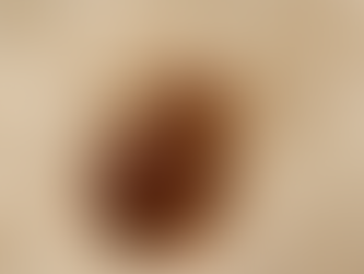 5 idées reçues sur les punaises de lit que vous devez oublier.