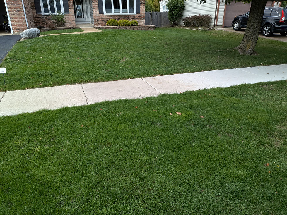 Front Yard Renovation After