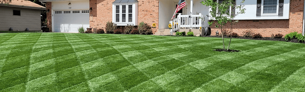June lawn care - lawnlogiq