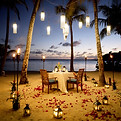 honeymoon-tour-packages-in-india.jpg