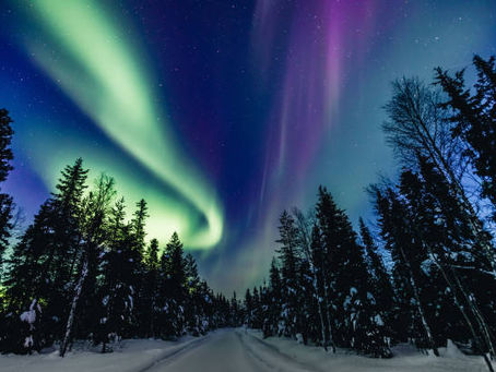 Lapponia Finlandese: avventura nell'Artico