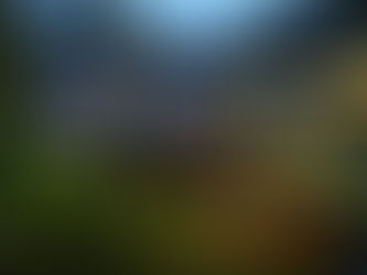 Dormire all'interno di un tempio buddhista in Giappone