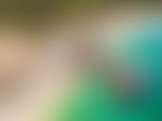 Dove dormire nell'isola di Pag: ecco gli hotel più economici