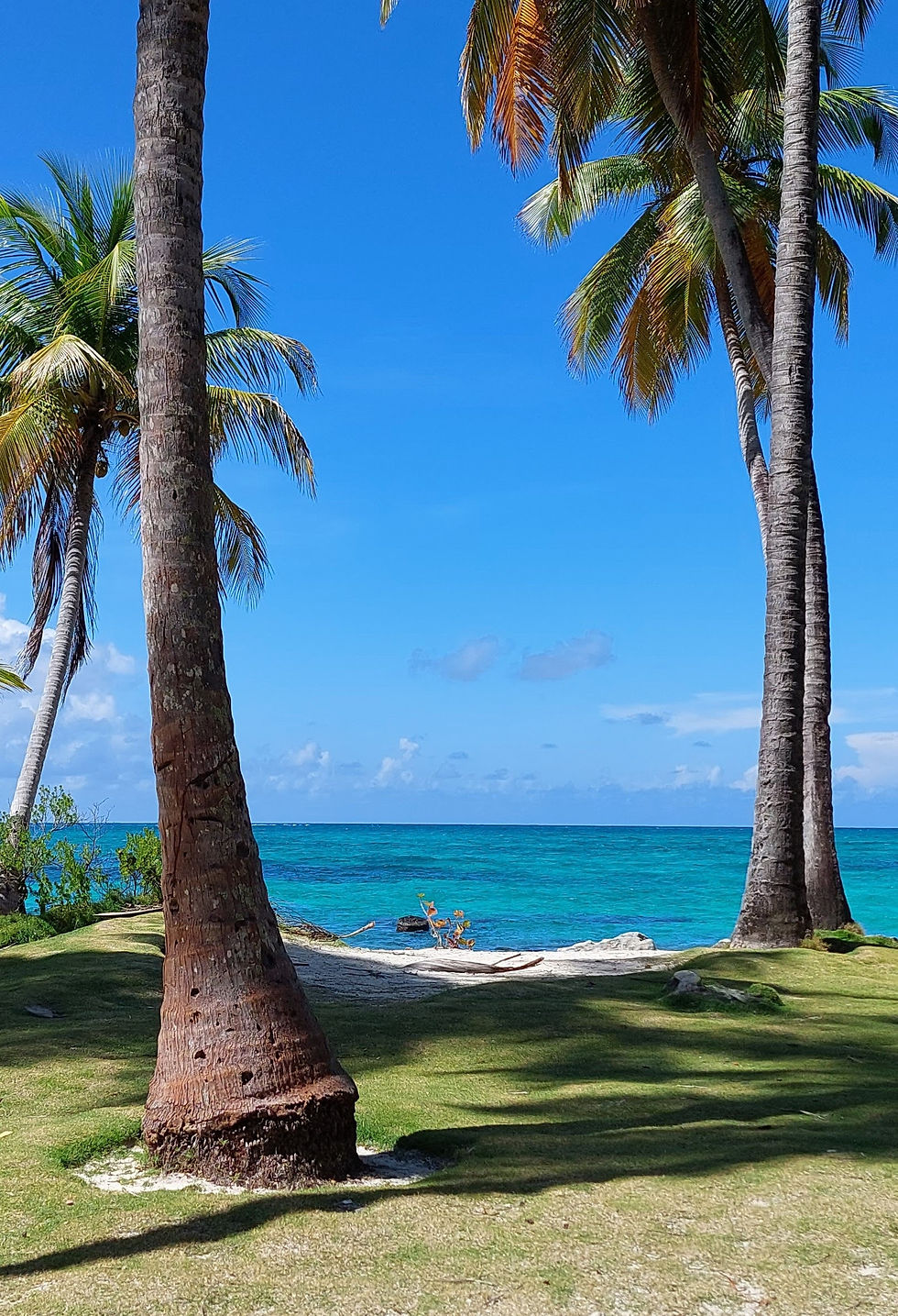 Ilha de Johnny Cai em San Andres - Colômbia
