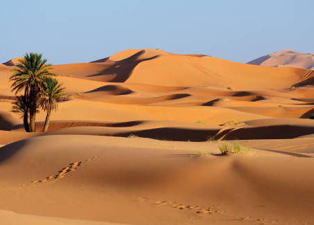Viaggio di 5 giorni nel deserto del Sahara: un'avventura indimenticabile