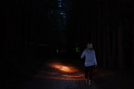 Without Triplelite(1).jpeg