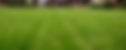 Turfing mowing lawn care gardener Maidstone