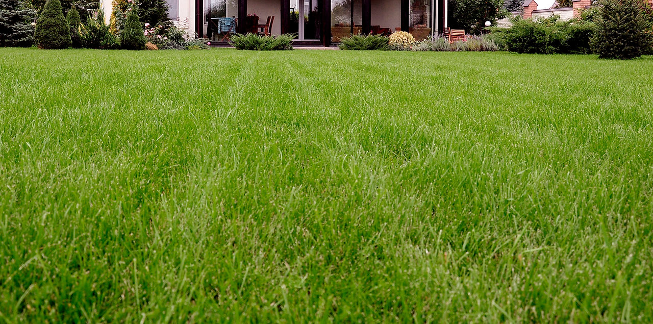 Lawn Strip