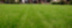 Lawn Strip