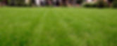 Lawn Strip