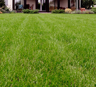 Lawn Strip