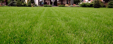 Lawn Strip