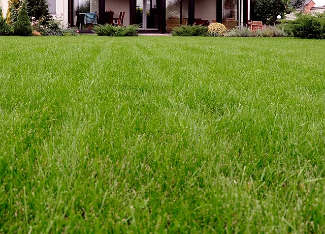 Sod Installation Lawn Maintenance Landscape Install Lab Lawn Care