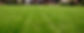 Lawn Strip