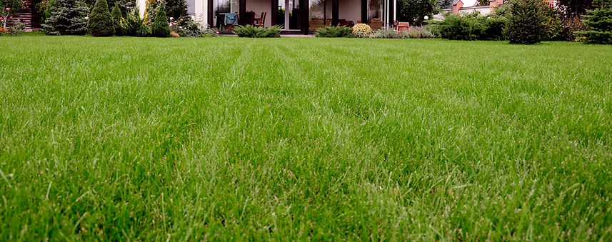 Lawn Strip