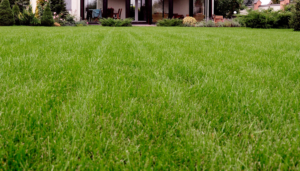 Lawncare Garden Center, Pet Supply Store, Lawncare Salisbury