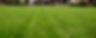 Lawn Strip