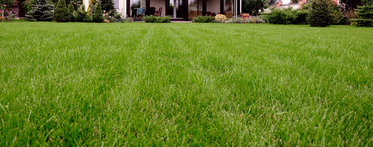 Lawns and gardens