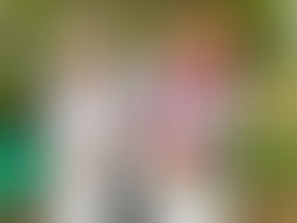 FGC Annual Plant Sale